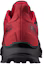 Shop Salomon Supercross 3 GTX '红色舒适'跑鞋 414538