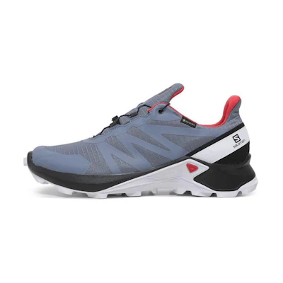Salomon Supercross GTX 'Grey'