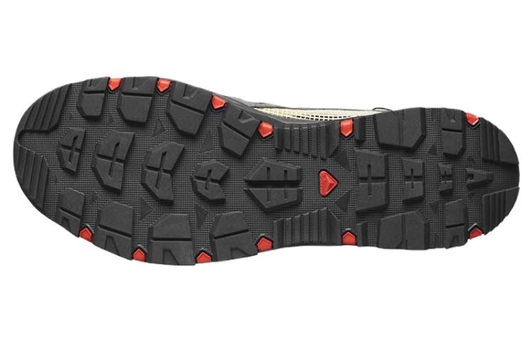 Purchase Salomon Techamphibian 5 'Abu-abu Cream' 471149