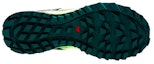 Shop サロモントレイルスターGTX (グリーン) 406120