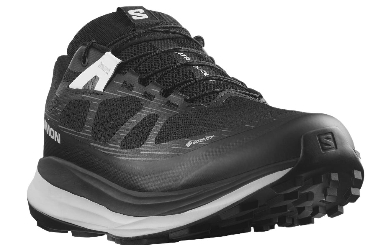 Lookbook Salomon Ultra Glide 2 GORE-TEX ''Schwarz Lunar Rock'' L47216600