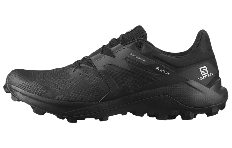 Buy Salomon Wildcross 2 Gore-Tex 414554