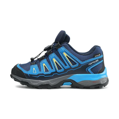 Salomon X-Ultra Low 'Blue'
