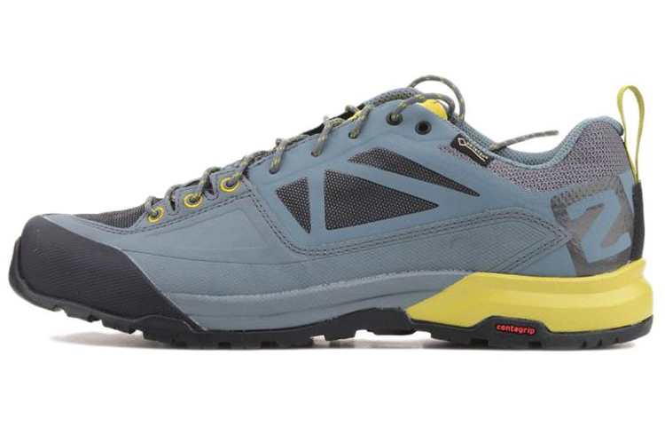 Buy サロモン X Alp Spry GTX ブルーグレー 401621