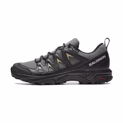 Salomon X Braze GTX 471805 / L47180500 'Black'