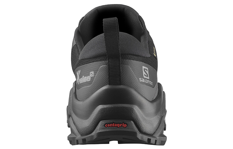 Shop Salomon X Raise GTX ''Schwarz'' 416333