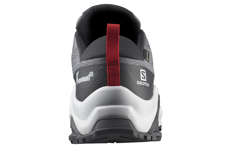 Salomon X Reveal 2 GTX 'Grey CMFT' 圖 4