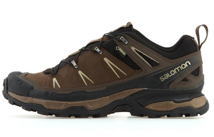 Salomon X Ultra LTR GTX 'Black Brown'