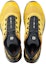Purchase Salomon Xa-Pro Fusion Maju 'Arrowswood' 412625