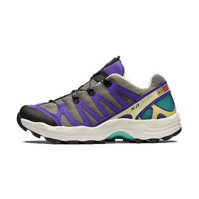 Salomon XA Pro 1 'Grey Purple'