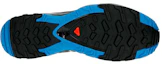 Purchase Salomon Xa Pro 3D ''Grün'' 400745