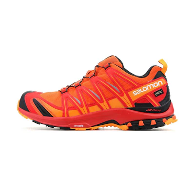 Salomon XA Pro 3D GTX 'Orange'