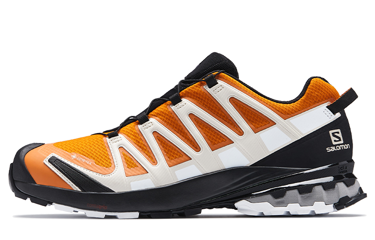 Salomon XA PRO 3D V8 GTX 'Orange Marmalade' 415640