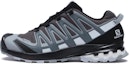 Buy Salomon XA Pro 3D V8 GTX 'Kelabu Perak' L41735400