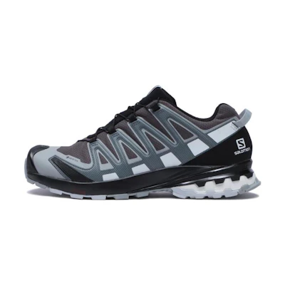 Salomon XA Pro 3D V8 GTX 'Silver Grey'