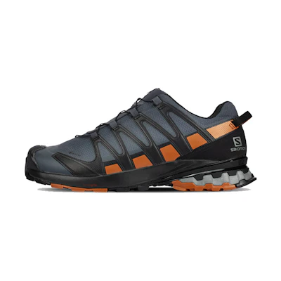Salomon XA Pro 3D V8 GTX Wide 'Grey Brown'