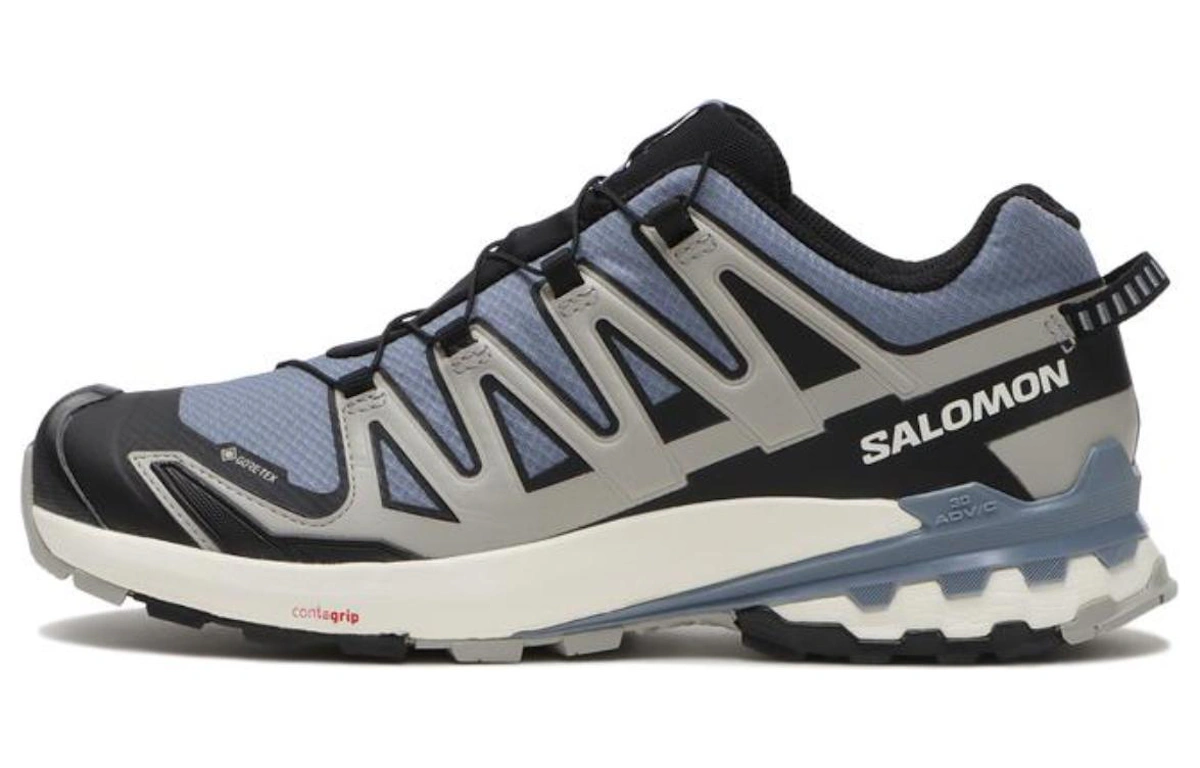 Salomon XA Pro 3D V9 GORE-TEX 'Flint Stone Ghost Grey'