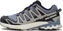 Buy Salomon XA Pro 3D V9 GORE-TEX 'Flint Stone Ghost Grey' Lelaki & Wanita L47270600