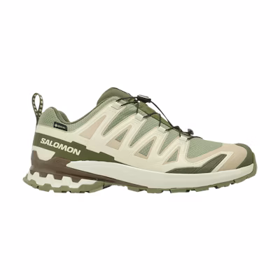 Salomon XA Pro 3D V9 GORE-TEX 'Lichen Green Safari'