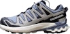 Salomon XA Pro 3D V9 GTX 'Abu' 472706-YC