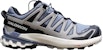 Salomon XA Pro 3D V9 GTX 'Abu' 472706-YC