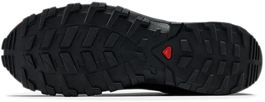 Purchase Salomon XA Rogg 2 GTX 'Black' 414386