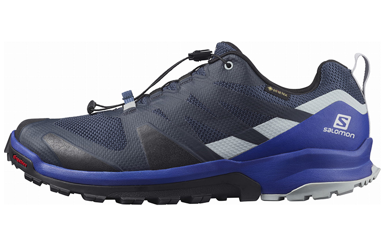 Salomon Xa Rogg GTX 'Blue'