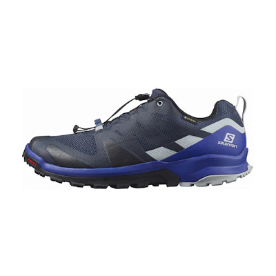 Salomon Xa Rogg GTX 'Blue'