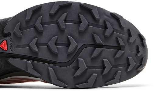 サロモン XT-6 「ダリア記念碑」 L41620000 Purchase サロモン XT-6 「ダリア記念碑」 L41620000