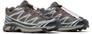 Salomon XT-6 'Plum Kitten India Ink' L47445100