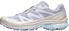 Buy Salomon XT-6 Advanced 'Ais Artik Pasir Peluntur' L41317400