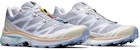 Salomon XT-6 Advanced 'Ais Artik Pasir Peluntur' L41317400
