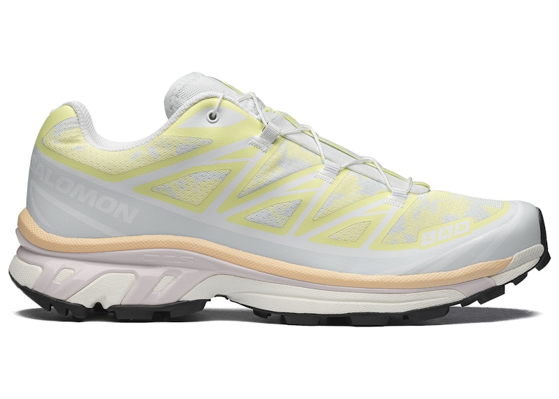 Salomon XT-6 Alpen Blossom Ice Flow