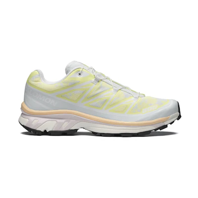 Salomon XT-6 Alpen Blossom Ice Flow