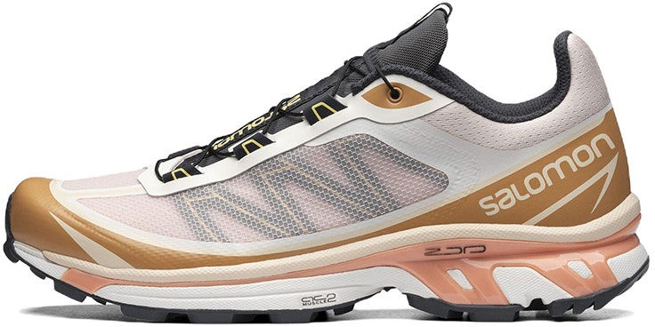 salomon-xt-6-ft-white-gold-416205