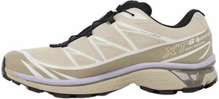 Order Salomon XT-6 GORE-TEX 'Eucalyptus Silver Sage Cosmic Sky' L49202300
