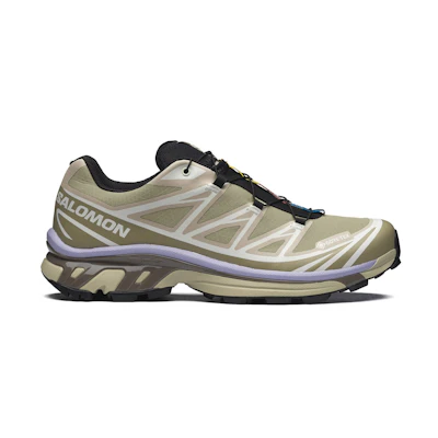 Salomon XT-6 GORE-TEX 'Eucalyptus Silver Sage Cosmic Sky'