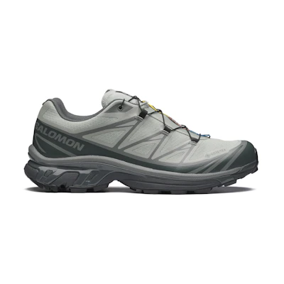 Salomon XT-6 GORE-TEX 'Wrought Iron Urban Chic Sedona Sage'