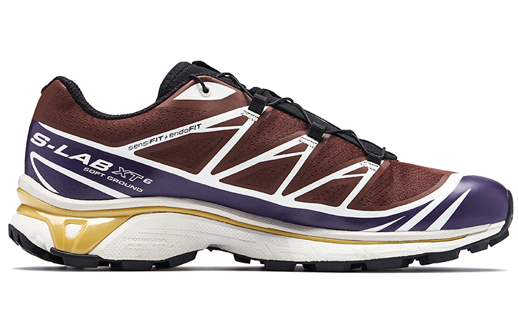 Salomon XT-6 LTD Edition 'Twilight Chocolate' 圖 5