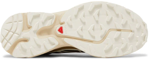 Purchase Salomon XT-6 Recut '鷦' 袋鼠 L47305800