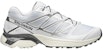 Salomon XT-Pathway 471349
