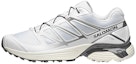 Buy Salomon XT-Pathway 'Silver White' L47134900