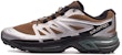 Salomon XT-Wings 2 ADV 'Silver-Brown' L41251600