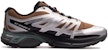 Salomon XT-Wings 2 ADV 'Silver-Brown' L41251600