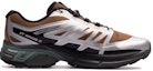 Order Salomon XT-Wings 2 ADV 'Silver-Brown' L41251600