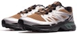 Salomon XT-Wings 2 ADV 'Silver-Brown' L41251600