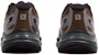 Salomon XT-Wings 2 ADV 'Silver-Brown' L41251600