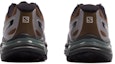 Shop Salomon XT-Wings 2 ADV 'Silver-Brown' L41251600