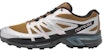 Salomon XT-Wings 2 ADV 'Silver-Brown' L41251600