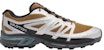 Salomon XT-Wings 2 ADV 'Silver-Brown' L41251600